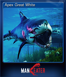 Apex Great White