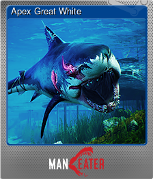 Series 1 - Card 5 of 7 - Apex Great White