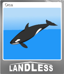 Series 1 - Card 11 of 15 - Orca
