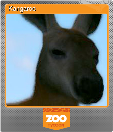 Series 1 - Card 5 of 6 - Kangaroo