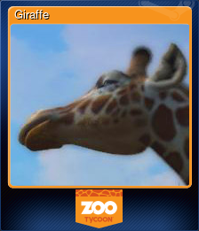 Series 1 - Card 6 of 6 - Giraffe