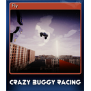 Fly
