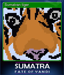 Sumatran tiger