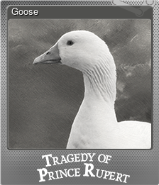 Series 1 - Card 5 of 6 - Goose