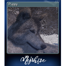 Puppy