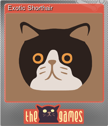 Series 1 - Card 3 of 5 - Exotic Shorthair