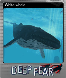 Series 1 - Card 9 of 12 - White whale