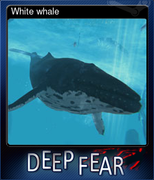 Series 1 - Card 9 of 12 - White whale