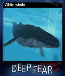 Series 1 - Card 9 of 12 - White whale