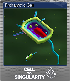 Series 1 - Card 1 of 5 - Prokaryotic Cell