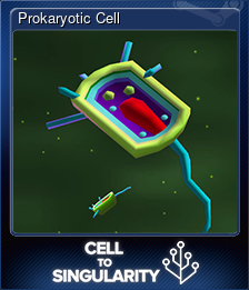 Series 1 - Card 1 of 5 - Prokaryotic Cell