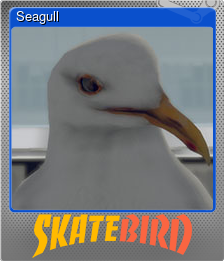Series 1 - Card 11 of 14 - Seagull