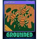 Lawn Mites