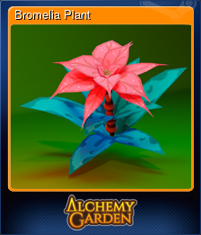 Series 1 - Card 1 of 5 - Bromelia Plant