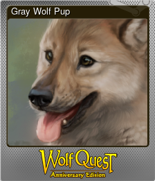 Series 1 - Card 4 of 6 - Gray Wolf Pup