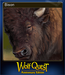 Bison