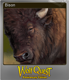 Series 1 - Card 6 of 6 - Bison