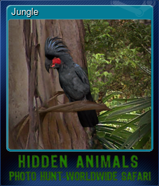 Series 1 - Card 4 of 5 - Jungle