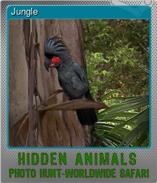 Series 1 - Card 4 of 5 - Jungle