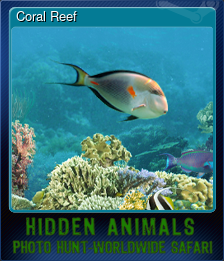 Series 1 - Card 1 of 5 - Coral Reef