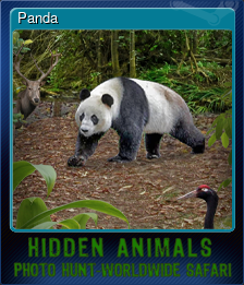 Series 1 - Card 2 of 5 - Panda