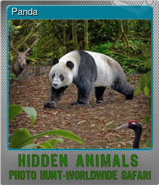 Series 1 - Card 2 of 5 - Panda