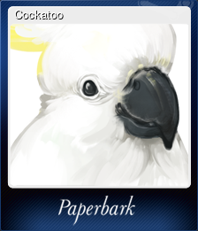 Cockatoo