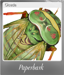 Series 1 - Card 3 of 7 - Cicada