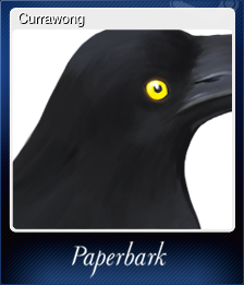 Currawong