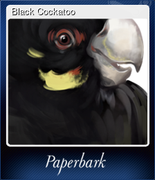 Black Cockatoo