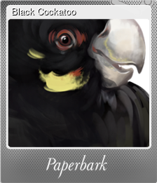 Series 1 - Card 1 of 7 - Black Cockatoo