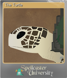 Series 1 - Card 10 of 10 - The Turtle