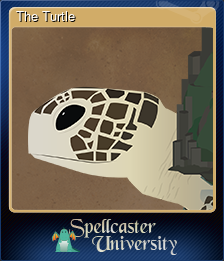 Series 1 - Card 10 of 10 - The Turtle