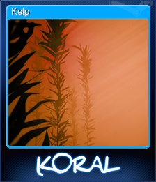 Kelp