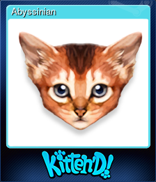 Abyssinian