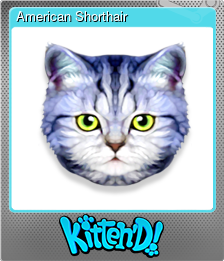 Series 1 - Card 5 of 9 - American Shorthair