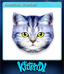 Series 1 - Card 5 of 9 - American Shorthair