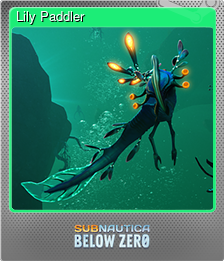 Series 1 - Card 8 of 14 - Lily Paddler