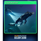 Cryptosuchus
