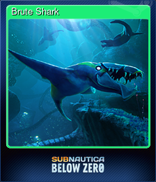 Series 1 - Card 2 of 14 - Brute Shark