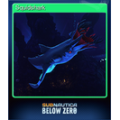 Squidshark