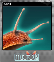 Series 1 - Card 3 of 6 - Snail