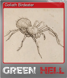 Series 1 - Card 7 of 10 - Goliath Birdeater