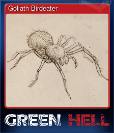 Series 1 - Card 7 of 10 - Goliath Birdeater