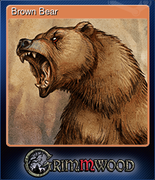 Series 1 - Card 6 of 6 - Brown Bear
