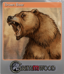 Series 1 - Card 6 of 6 - Brown Bear