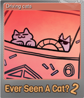 Driving cats