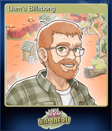 Series 1 - Card 3 of 5 - Liam's Billabong