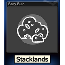 Berry Bush