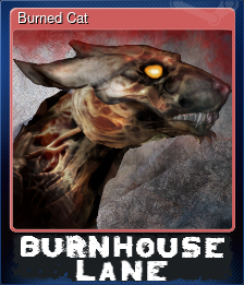 Series 1 - Card 3 of 13 - Burned Cat